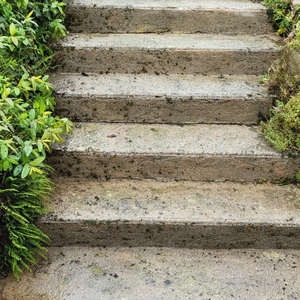after pressure washing